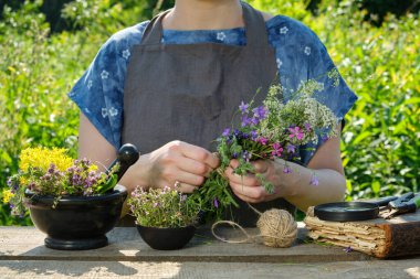 Woman harvesting medicinal plants. Herbalist holding in her hands bunch of medicinal herbs. In front of her is a mortar, bowl, and a book. clipart