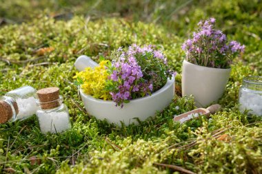 Bir şişe homeopatik globula, ormandaki yeşil yosun üzerinde havan topu.. 