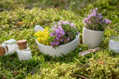 Bottles of homeopathic globules, mortars of medicinal herbs on a green moss in forest outdoors.  clipart