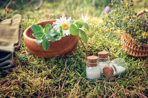 Tres Botellas Glóbulos Homeopáticos Cuenco Madera Canasta Hierbas Medicinales Guantes —  Fotos de Stock