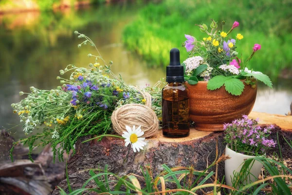 Mortars of medicinal herbs, dropper bottle of essential oil, bunch of medicinal plants on a wooden stump on bank of beautiful forest river outdoors.