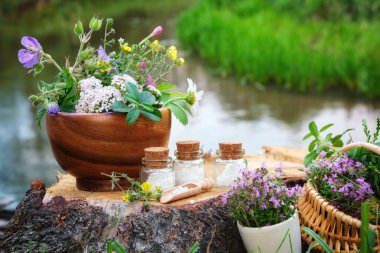 Three bottle of homeopathic globules, mortars of medicinal herbs, basket of healing plants on a wooden stump on bank of beautiful forest river outdoors. clipart