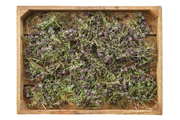 Droge Gezonde Tijmplanten Houten Krat Gevuld Met Thymus Serpyllum Bloemen — Stockfoto