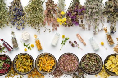 Bir şişe homeopatik küre ve kuru tıbbi bitkiler. Beyaz arka planda kuru şifalı bitkiler ve şifalı bitkiler var. Üst manzara, düz uzanma.  