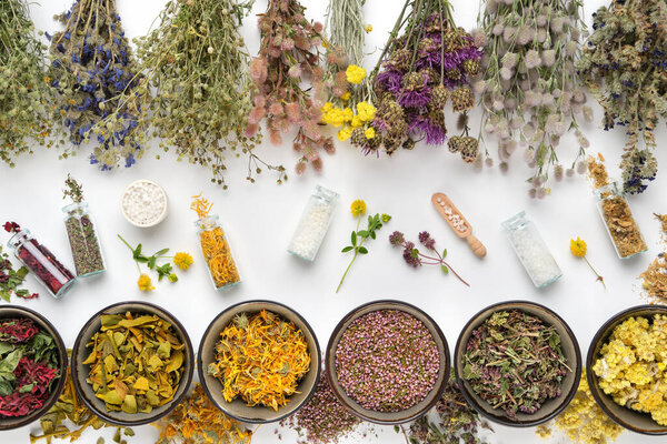 Bottles of homeopathic globules and dry medicinal plants. Bowls of dry medicinal herbs and healing plants bunches on white background. Top view, flat lay.  