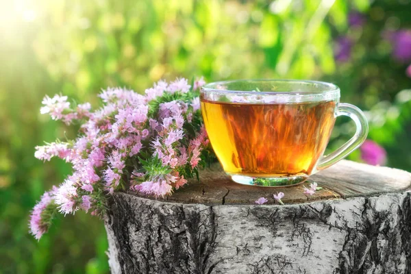 Kubek Zdrowej Herbaty Ziołowej Hizopskim Ziołem Leczniczym Świeżym Powietrzu — Zdjęcie stockowe