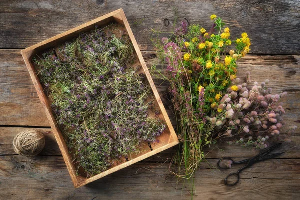 Trälåda Fylld Med Torra Friska Timjan Blommor Sax Och Färska — Stockfoto