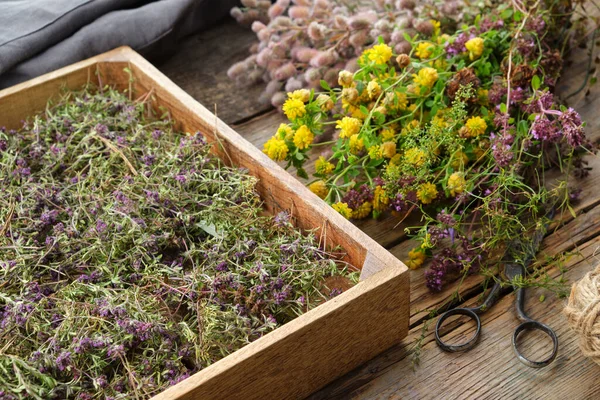 Houten Krat Gevuld Met Droge Gezonde Tijm Bloemen Schaar Schort — Stockfoto