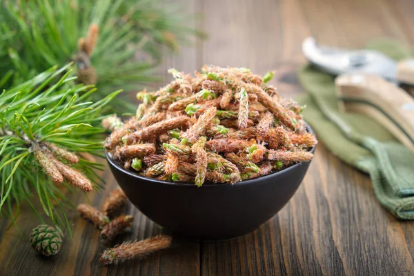 Schale Mit Kiefernknospen Vorhanden Tannenknospen Und Zweige Mit Nadel Auf — Stockfoto