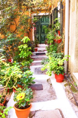 El yapımı bir yol, turuncu evin aç gözlü kapısı, güneşli.