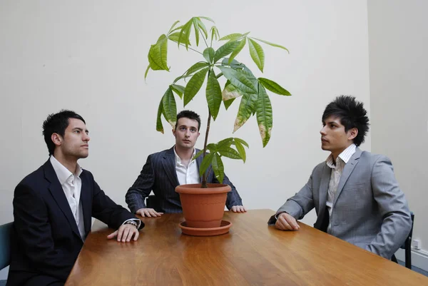 Group Young Businessmen Looking Office Pot Plant Contemplating Environmental Issues Stock Picture