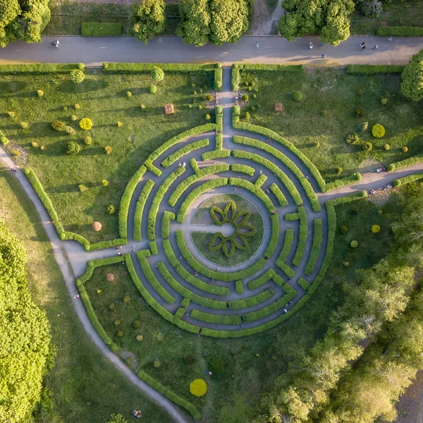 緑の路地とキエフの植物園で自然の迷路の空撮 — ストック写真