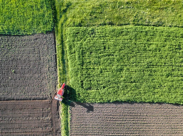 Visão Aérea Trator Que Trabalha Campo Verão Trabalho Agrícola — Fotografia de Stock