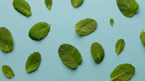 Padrão Criativo Folhas Hortelã Verde Fresco Fundo Azul — Fotografia de Stock