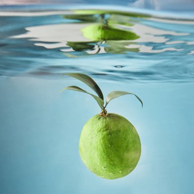 Sualtı düşen olgun limon 