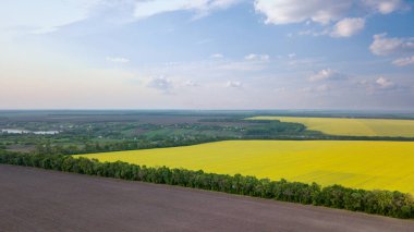 Panoramik sarı alan ve köy çevresinde mavi gökyüzü, Ukrayna karşı küçük bir nehir. Uçak fotoğraf