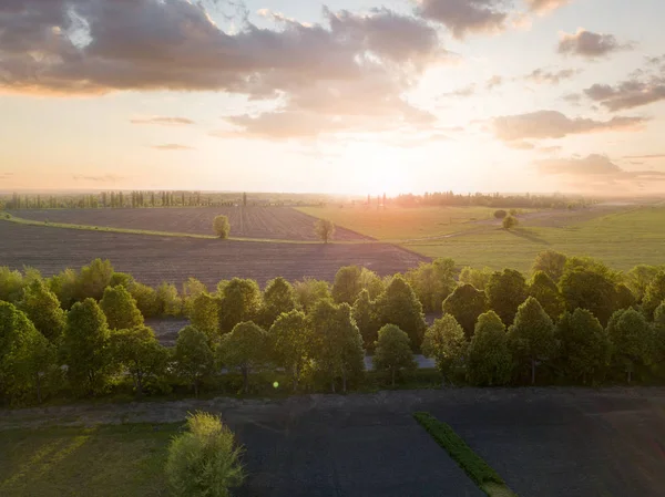 Вид Повітря Зелені Літні Поля Сході Сонця — стокове фото