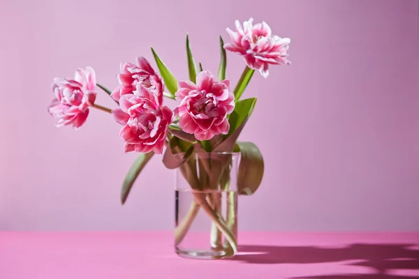 Tulipani Rosa Con Foglie Verdi Vaso Vetro Fondo Rosa — Foto Stock