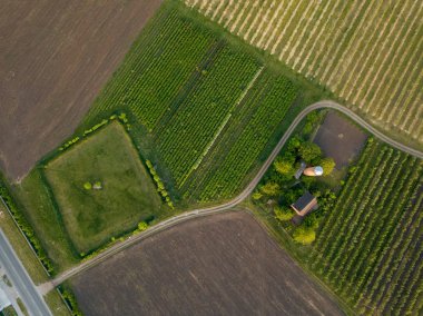 ağaçlar ve kırsal yollar tarafından ayrılmış olan alanlarının havadan görünümü