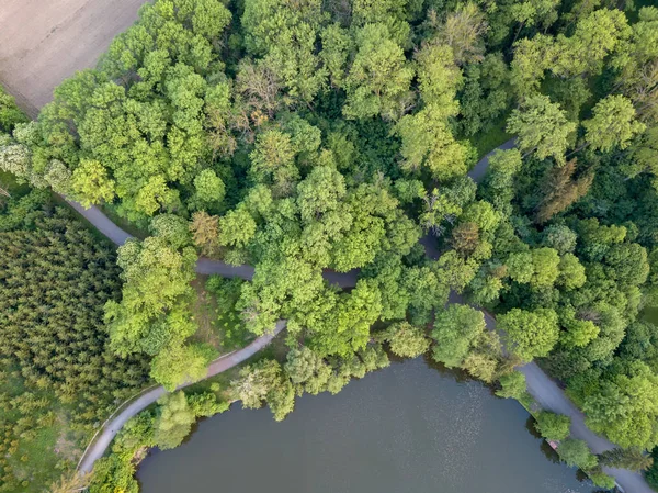 Aerial View Summer Forest Blue Lake — Stock Photo, Image