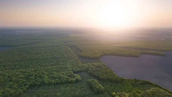 Vista Aérea Floresta Verão Lago Azul — Fotografia de Stock