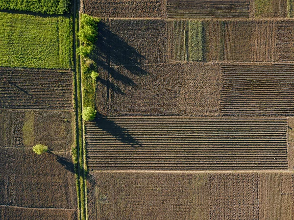 Flygfoto Över Fälten Avgränsas Med Träd Och Lantlig Väg — Stockfoto