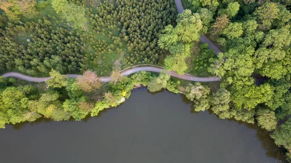 Vista Aérea Árvores Verdes Verão Lago Caminho — Fotografia de Stock