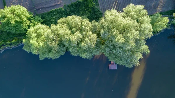 Vue Aérienne Des Arbres Verts Été Lac Passerelle Bois — Photo