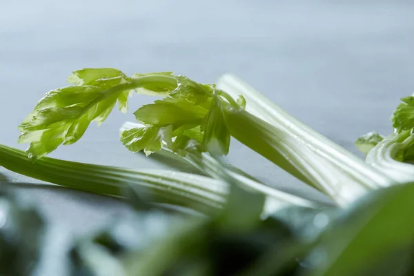 Sedano Biologico Sfondo Grigio Cemento Cibo Vegano — Foto Stock