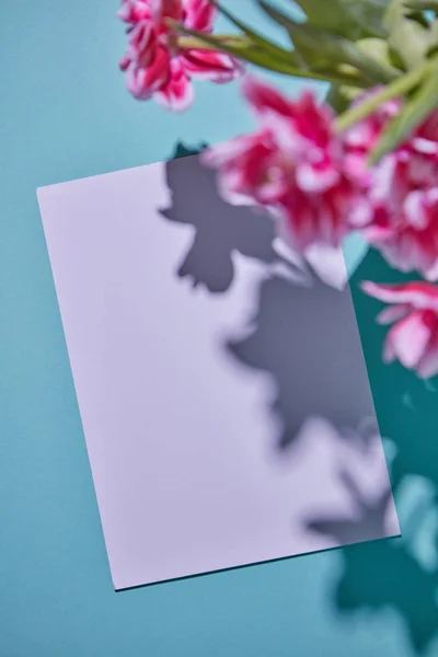 Postal Blanco Decorada Con Tulipanes Rosados Sobre Fondo Azul — Foto de Stock