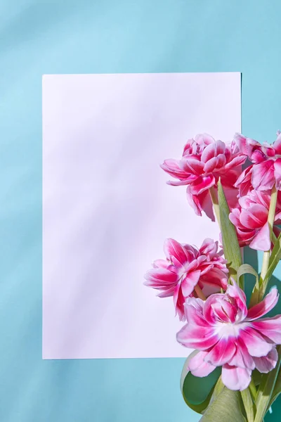 Postal Blanco Decorada Con Tulipanes Rosados Sobre Fondo Azul — Foto de Stock