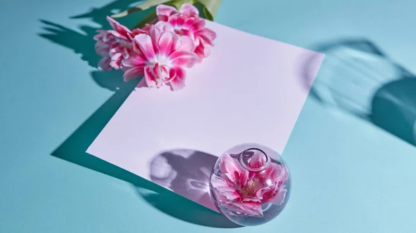 Postal Blanco Decorada Con Tulipanes Rosados Sobre Fondo Azul — Foto de Stock