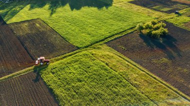 aerial view of tractor working in summer field, agricultural work clipart