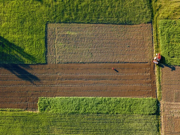 夏の畑 農作業のトラクターの航空写真 — ストック写真