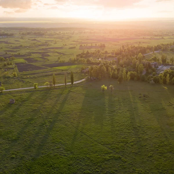 Aerial View Green Summer Fields Sunrise — Stock Photo, Image