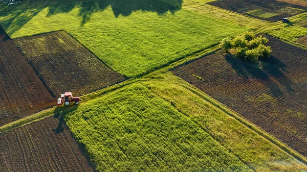 Luftaufnahme Des Traktors Der Sommerfeld Arbeitet Landwirtschaftliche Arbeiten — Stockfoto