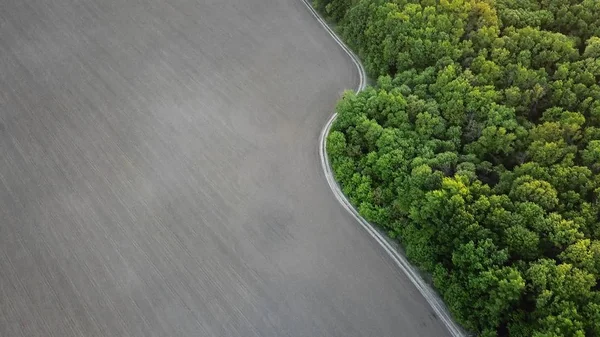 Flygfoto Över Grön Skog Och Asfalt Road Integrerad Naturliga Ekologiska — Stockfoto