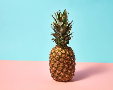 mavi ve pembe arka plan üzerinde lezzetli tropikal ananas 