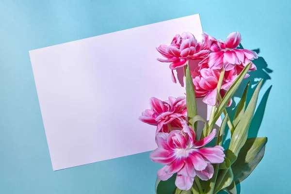 Leere Postkarte Mit Rosa Tulpen Auf Blauem Hintergrund — Stockfoto