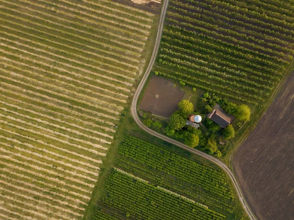 Yukarıdaki iki tarım alanları ile araba ve bir ev için bir yol ile farklı bitkileri ekili görüntüleyin. Uçak fotoğraf
