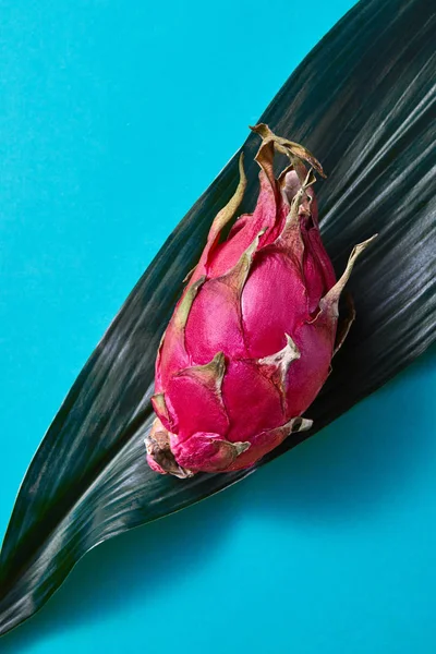 Frische Asiatische Rosa Drachenfrucht Auf Einem Grünen Palmblatt Auf Blauem — Stockfoto