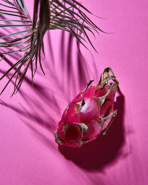 Creative Layout Made Pink Pitahaya Shadow Leaves Palm Trees Top — Stock Photo, Image