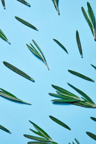 Flat Lay Várias Folhas Alecrim Verde Fresco Fundo Azul Vista — Fotografia de Stock