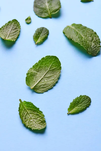 Friss Zöld Menta Levelek Koktélokat Kék Háttér Minta Vagy Élelmiszer — Stock Fotó