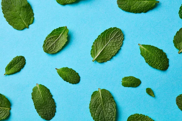 Folhas Frescas Hortelã Coquetel Verde Como Ingrediente Para Bebidas Sobremesas — Fotografia de Stock