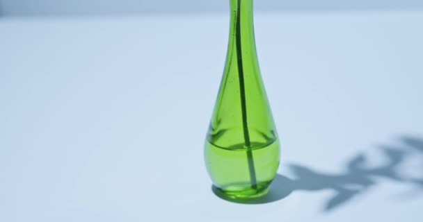 Διαφανές Πράσινο Γυάλινο Βάζο Νερό Και Πράσινο Κλωνάρι — Αρχείο Βίντεο