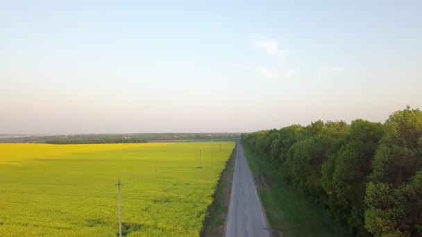 夏の畑近くの農村道路の空撮 — ストック動画