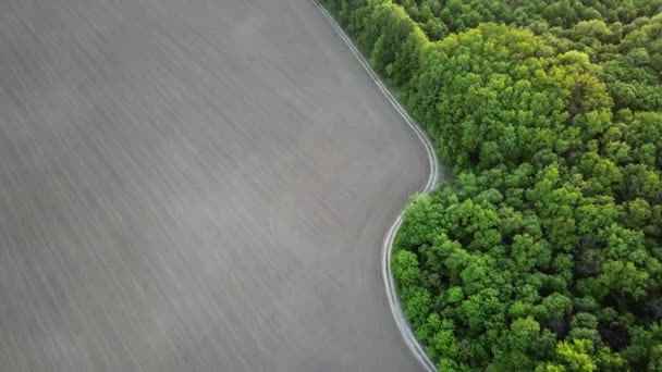 Orman Kırsal Alan Kırsal Manzara Havadan Görünümü — Stok video