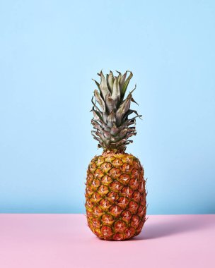mavi ve pembe arka plan üzerinde lezzetli tropikal ananas 