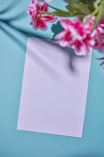 Postal Blanco Decorada Con Tulipanes Rosados Sobre Fondo Azul —  Fotos de Stock